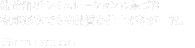 鍛造解析シミュレーションに基づき複雑形状でも高品質な仕上がりが可能。Simulation